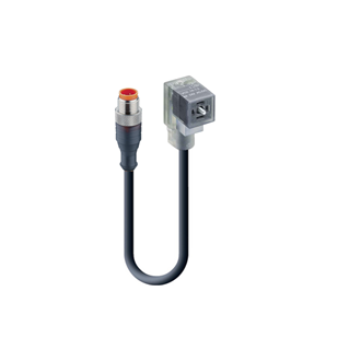 DIN EN 175301-803-C, Cordset, double ended