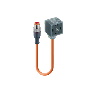 DIN EN 175301-803-A, Cordset, double ended