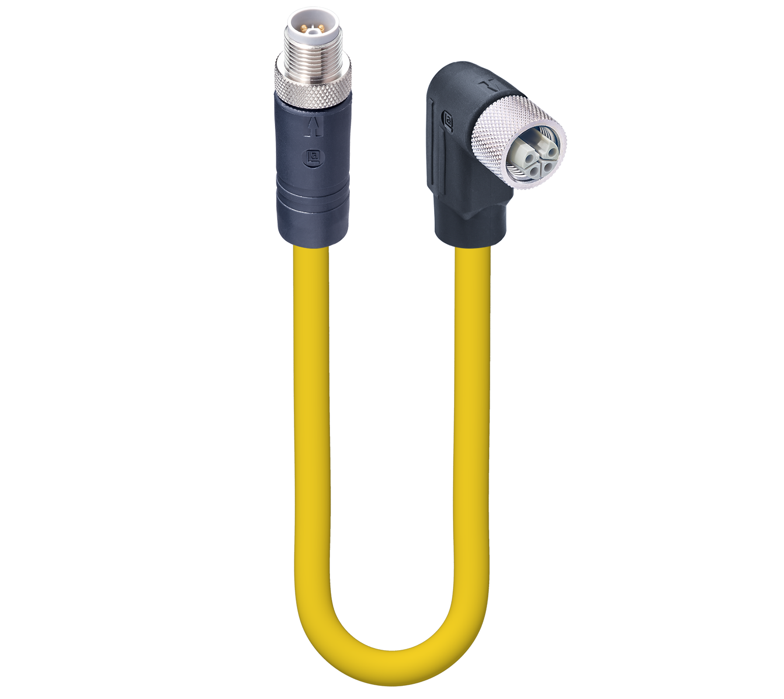 M12 Power Double-Ended Cordset.