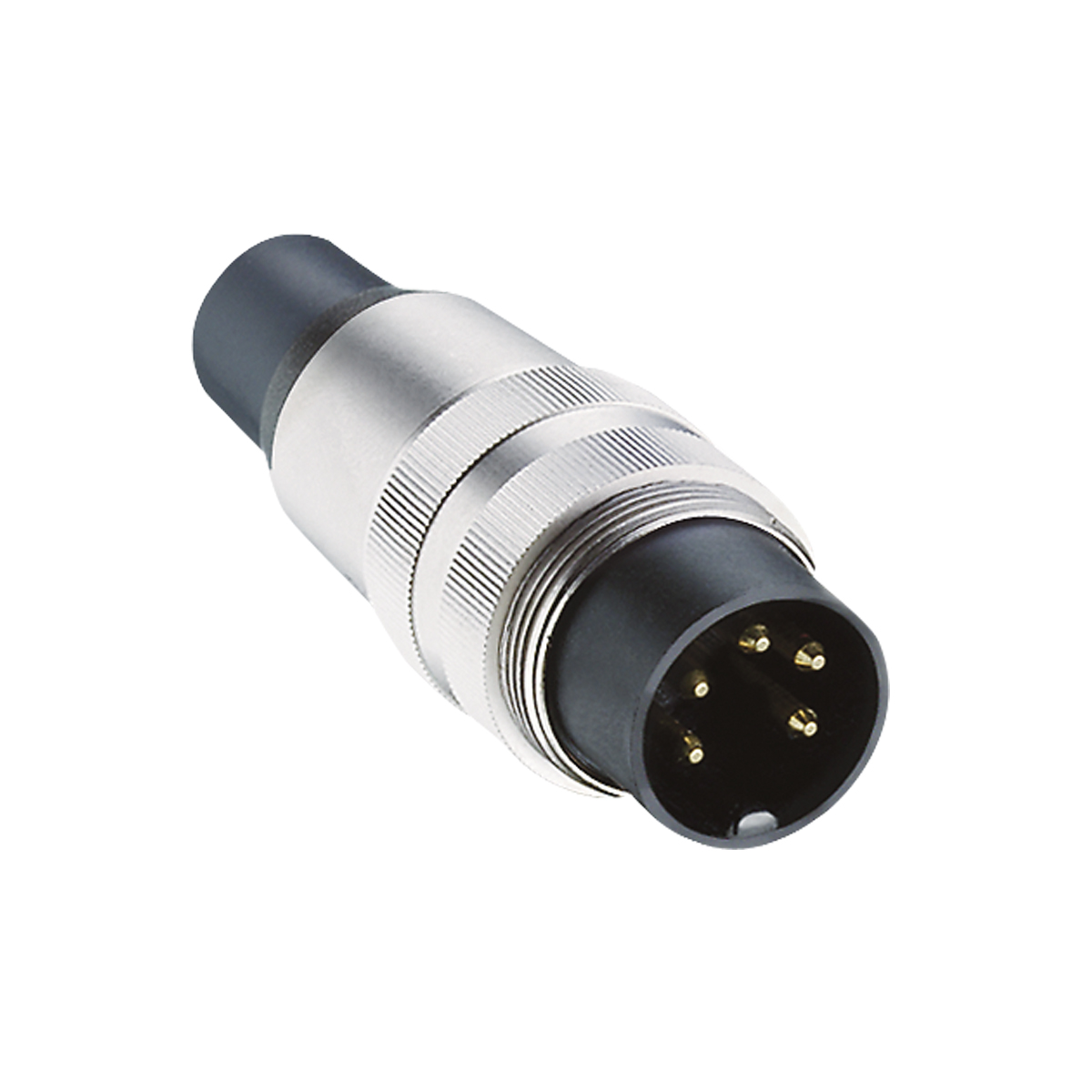 SV 81-8