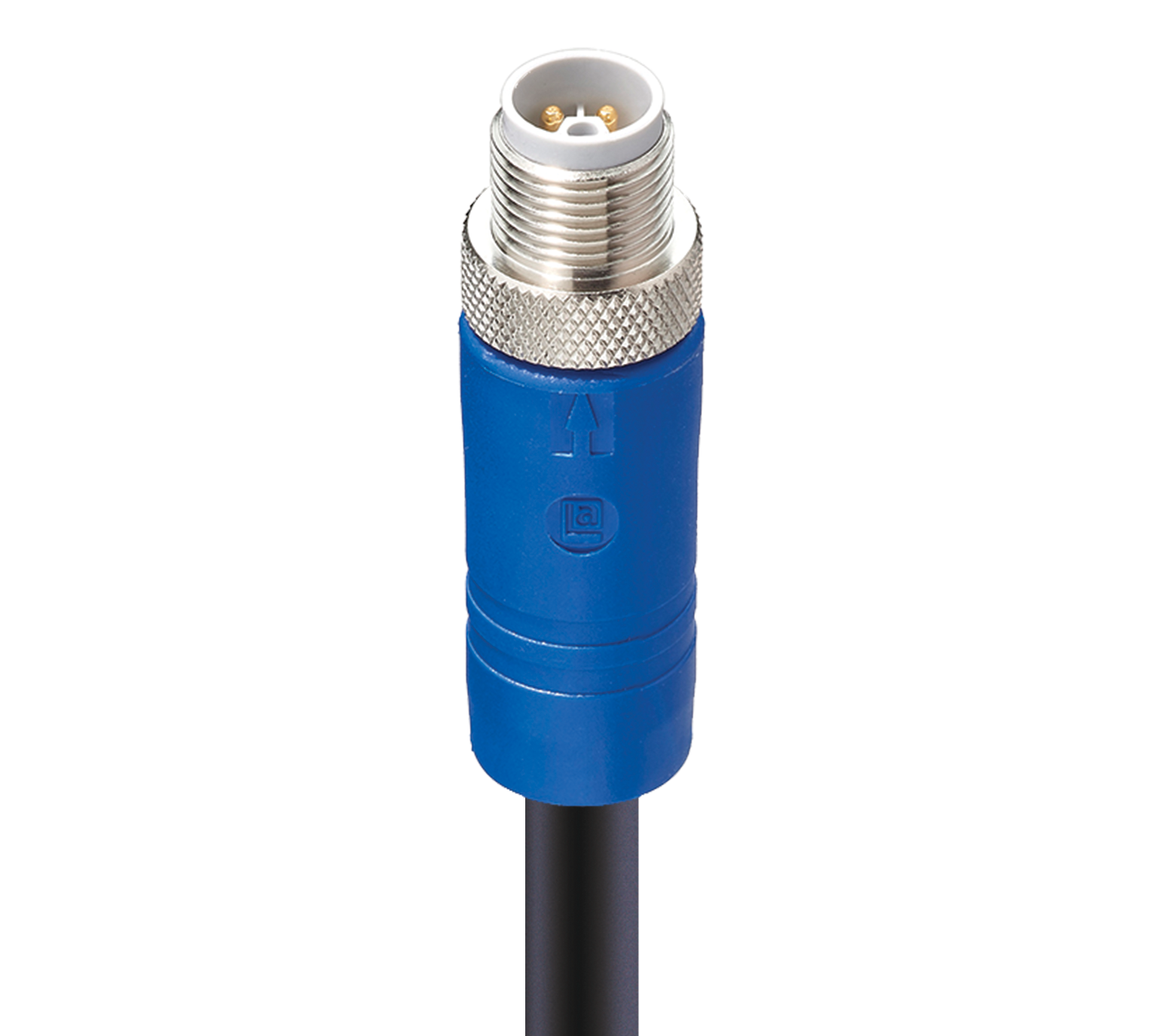 M12 Power Single-Ended Cordset