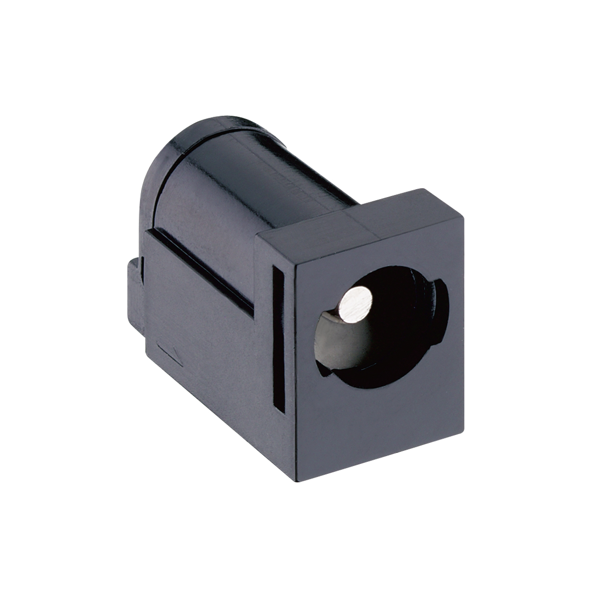 Power supply chassis socket