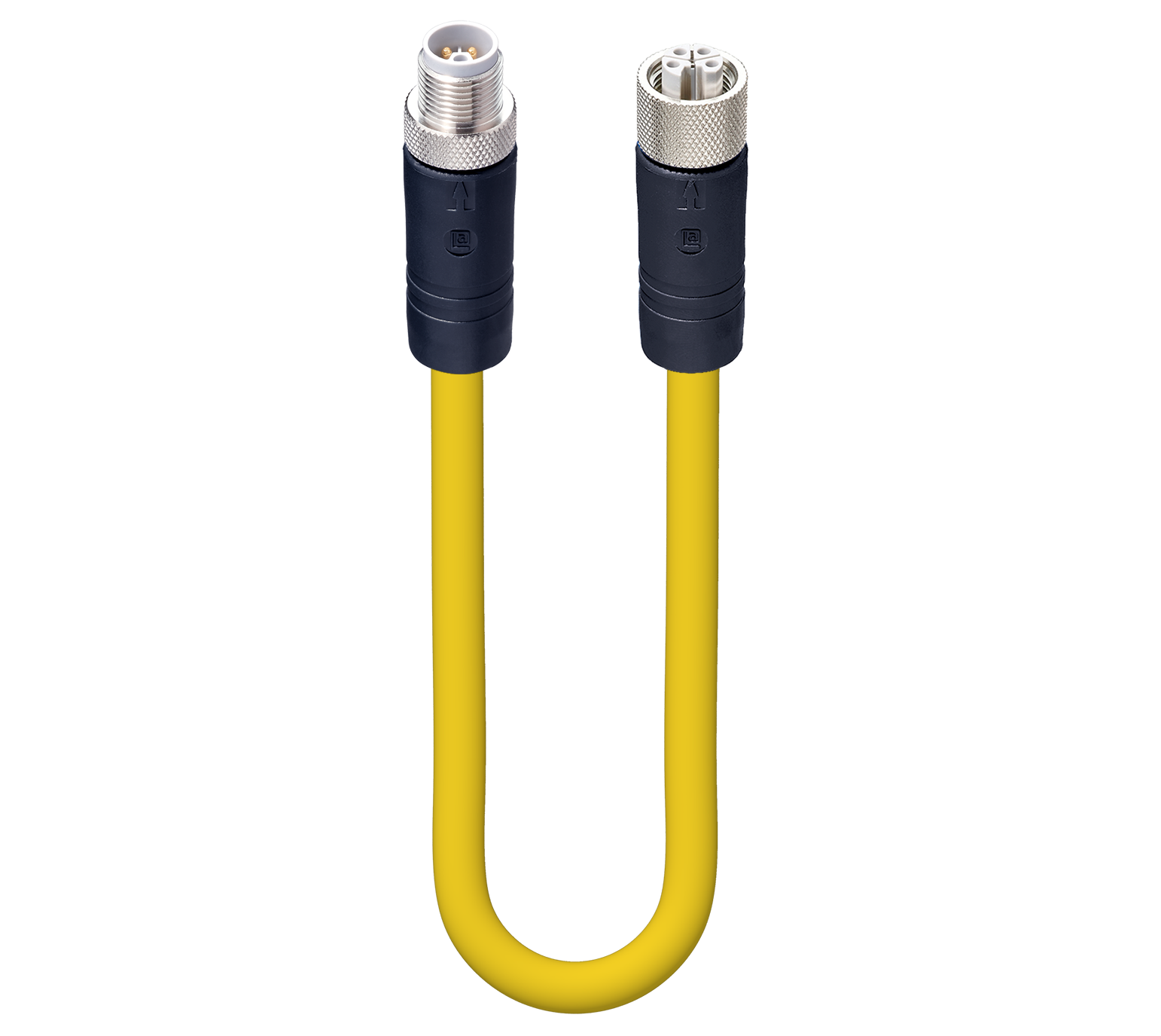M12 Power Double-Ended Cordset.