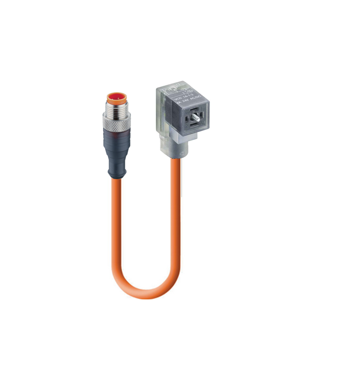 DIN EN 175301-803-C, Cordset, double ended