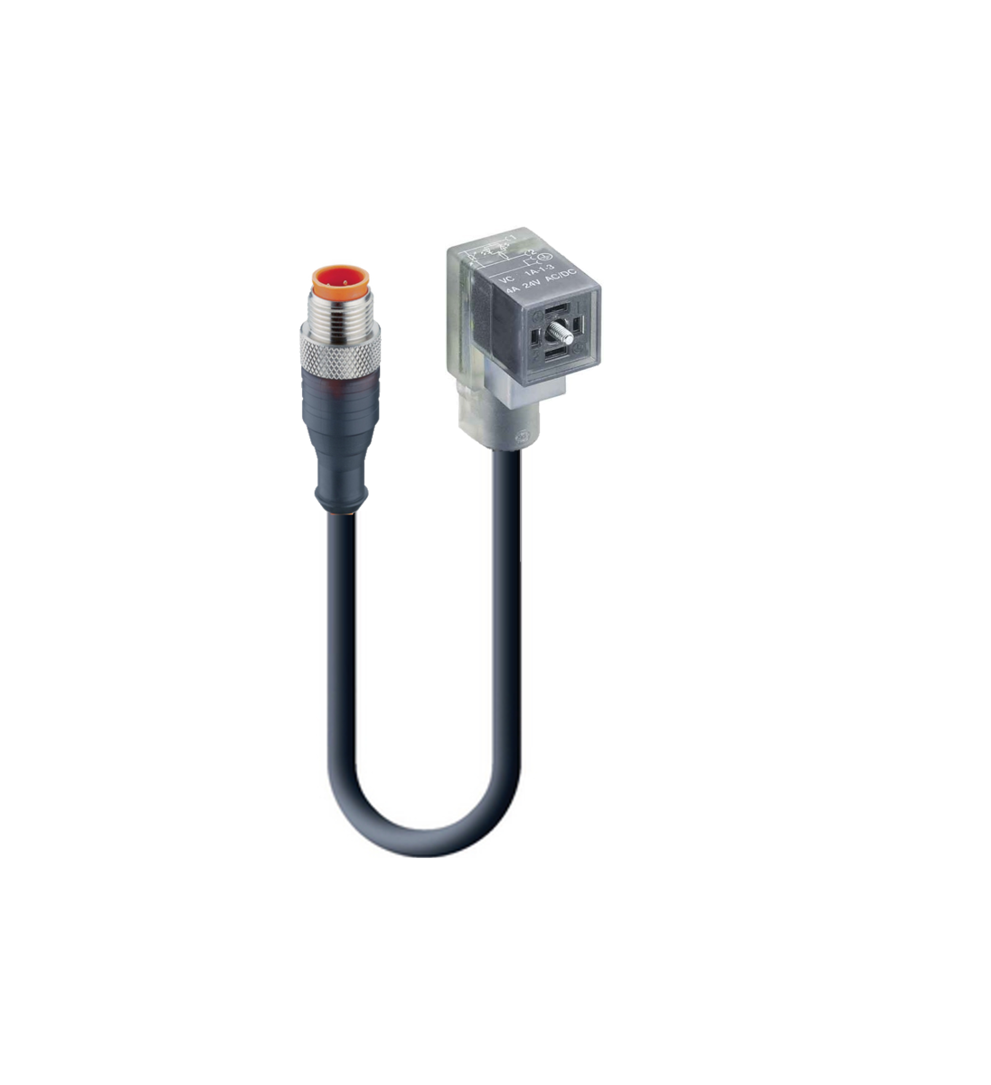 INDUSTRIAL-C (NEMA), Cordset, double ended