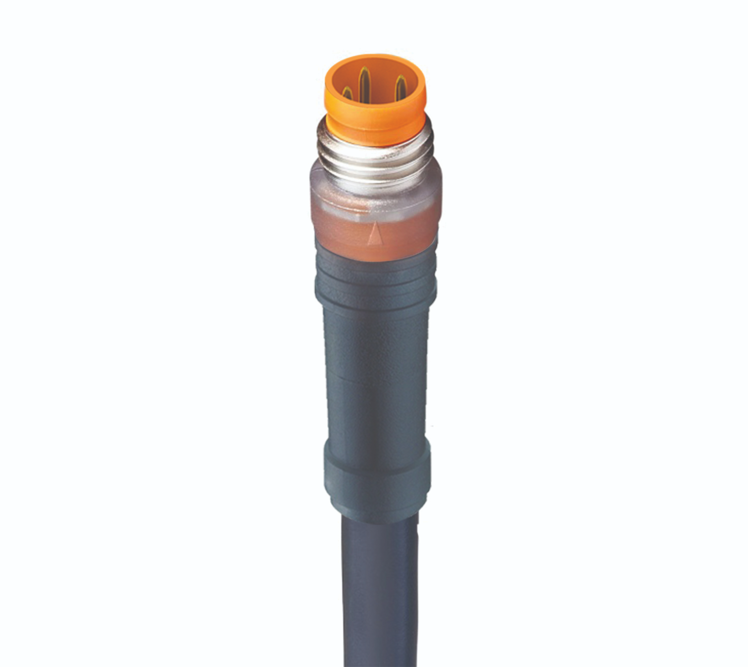 RSM 3-224/2,3 M.