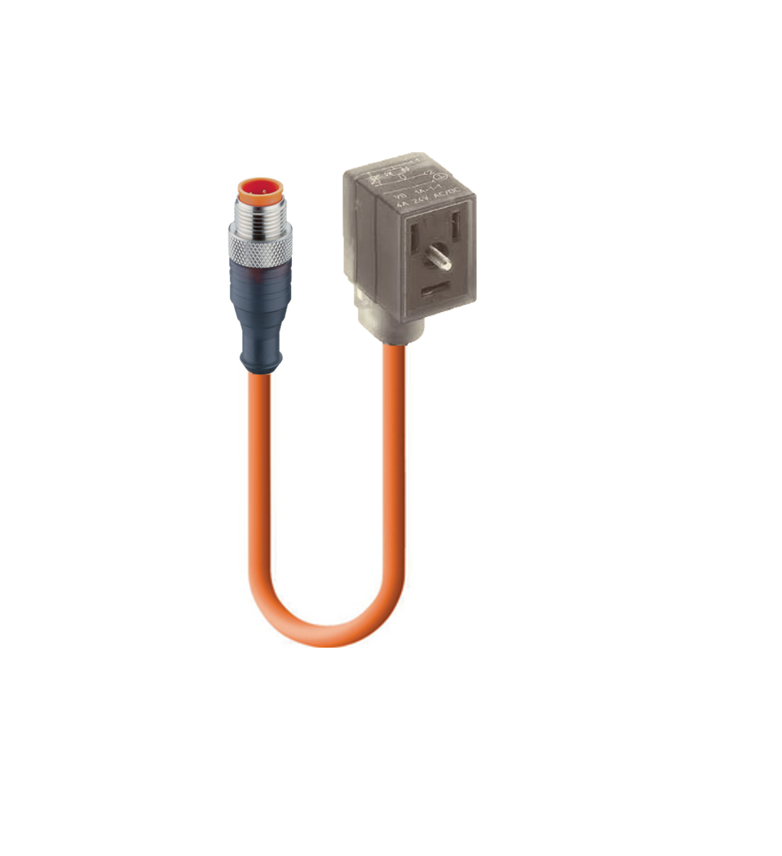 INDUSTRIAL-B (NEMA), Cordset, double ended