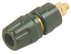 PKI 10A Au groen