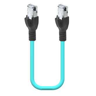 Fast Ethernet Cat5e, double-ended cord set