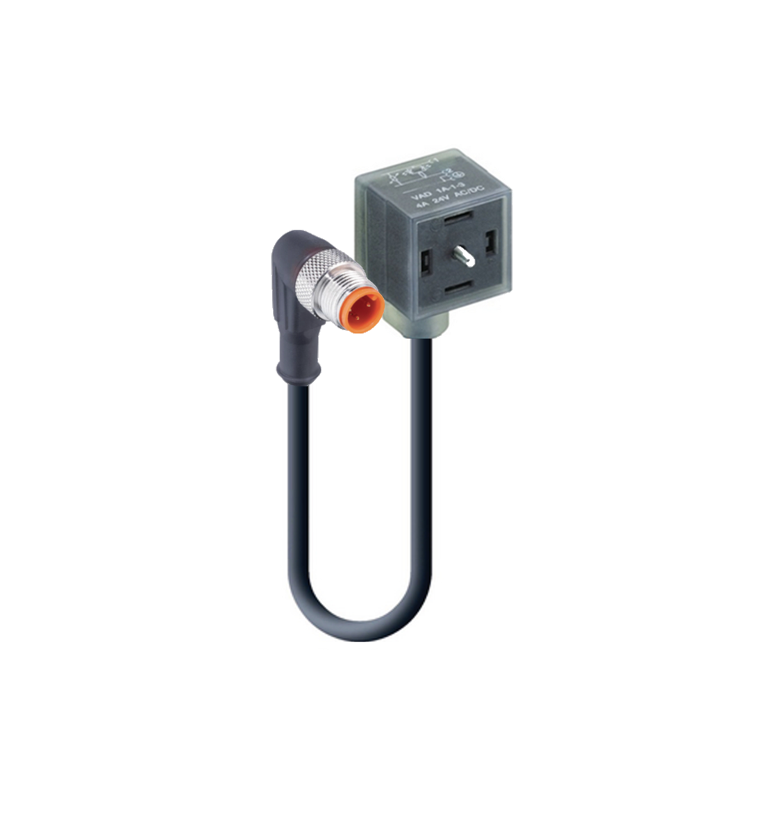 DIN EN 175301-803-A, Cordset, double ended