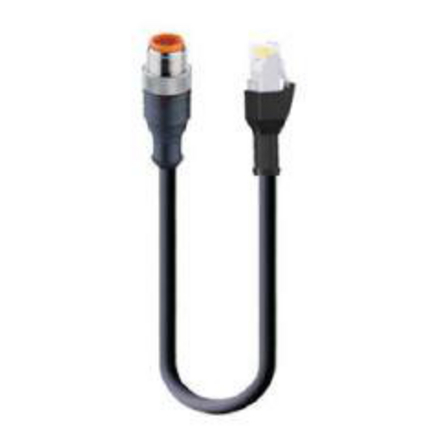 Gigabit Ethernet Cat5e Data Double-Ended Cordset