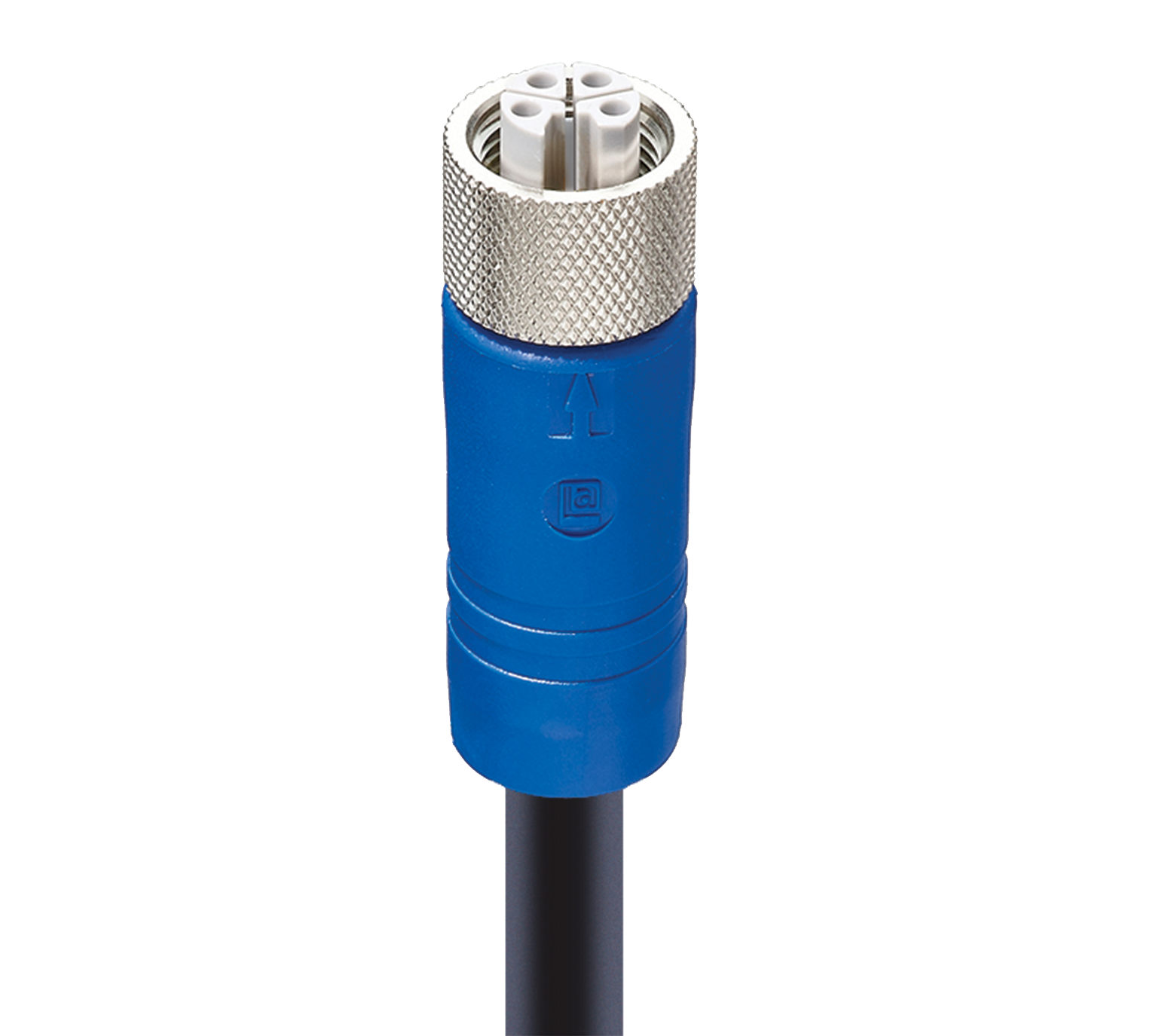M12 Power Single-Ended Cordset