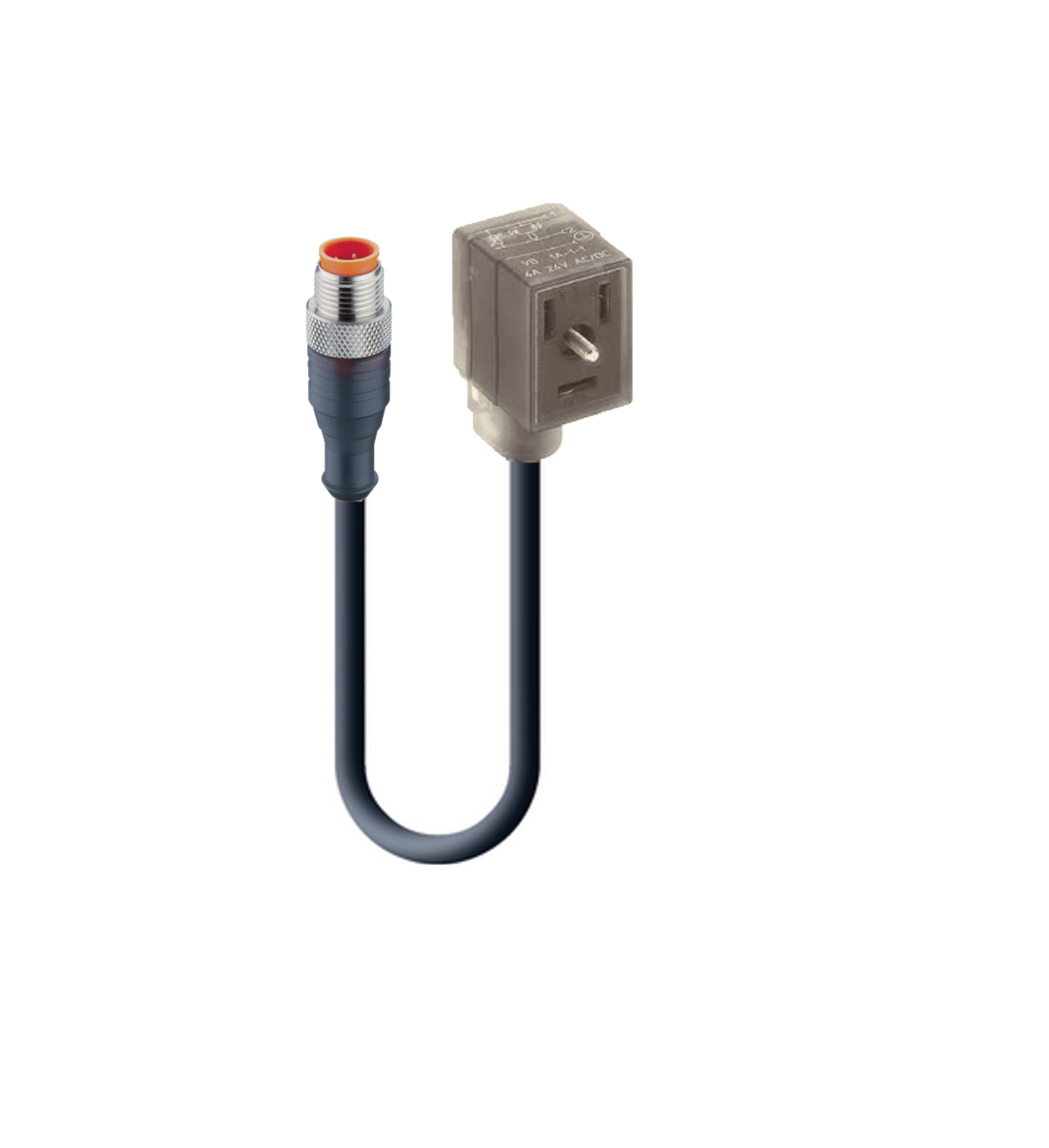 INDUSTRIAL-B (NEMA), Cordset, double ended